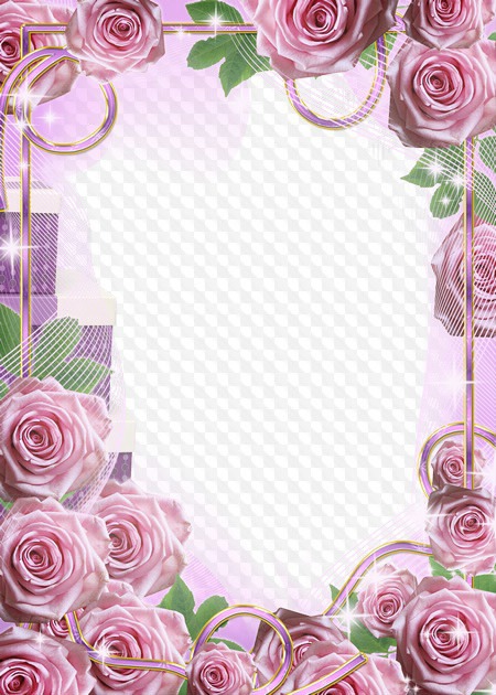 Rosas rosa Montaje fotografico