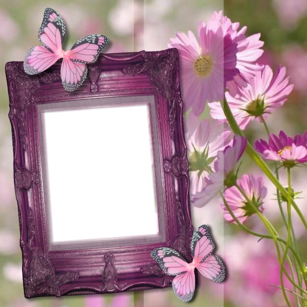 cadre fleurs papillon Фотомонтажа