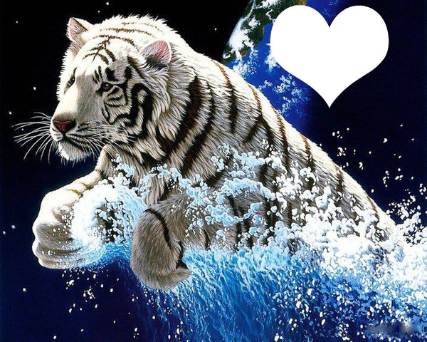 Boite tigre blanc forme coeur