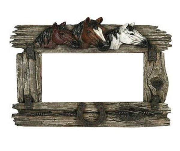 horse frame Photo frame effect