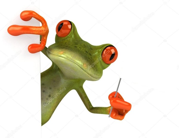 sapo com bandeira / frog flag Fotomontage