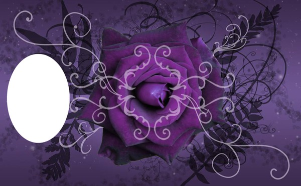 purple rose-hdh 1 Fotomontāža