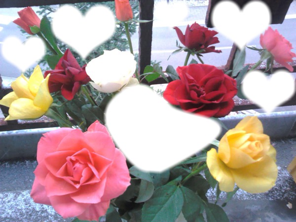 Coeur de roses Фотомонтаж