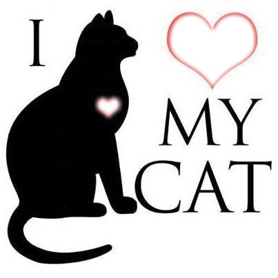 I coeur my cat 1 Fotomontasje