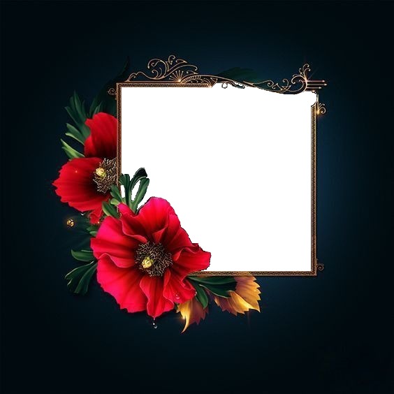 marco azul y flor roja. Fotomontage