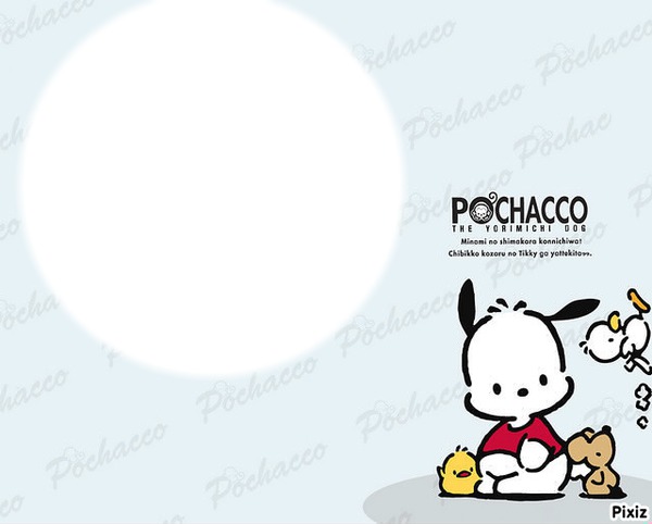 pochacco Photomontage