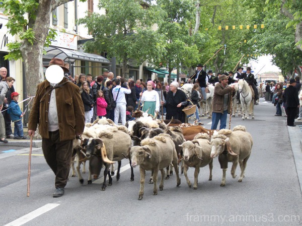 berger et ses moutons Photo frame effect