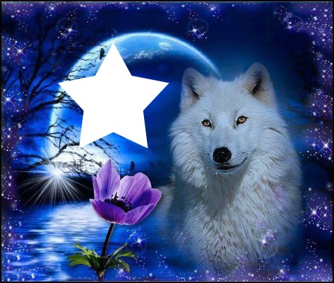 Loup Blanc Fotomontagem