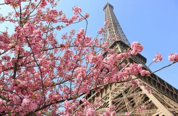 Bonjour Paris Photomontage