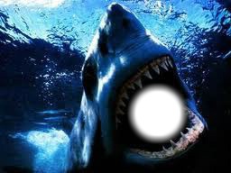 Shark attack Photomontage