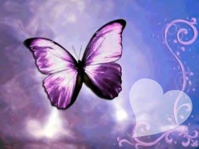 Butterfly fly away (papillon) Photo frame effect