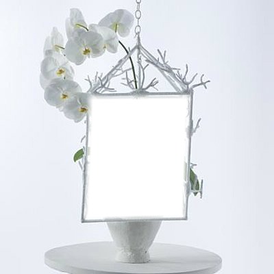 orchidée blanche Φωτομοντάζ