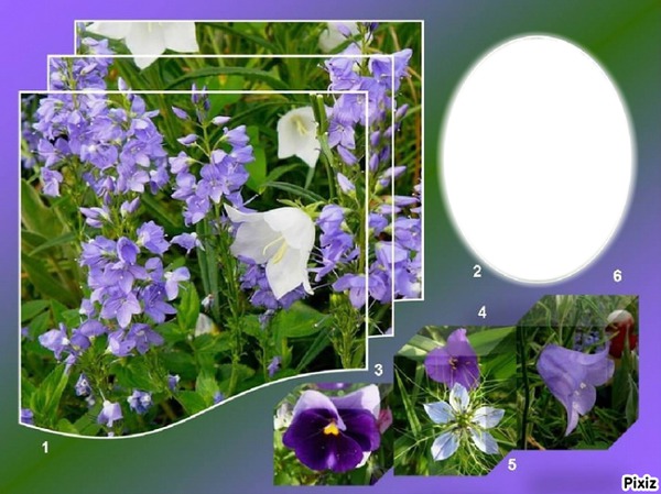 ***petites fleurs bleue*** Photomontage