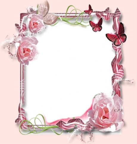 Marco de rosas y mariposas Photo frame effect