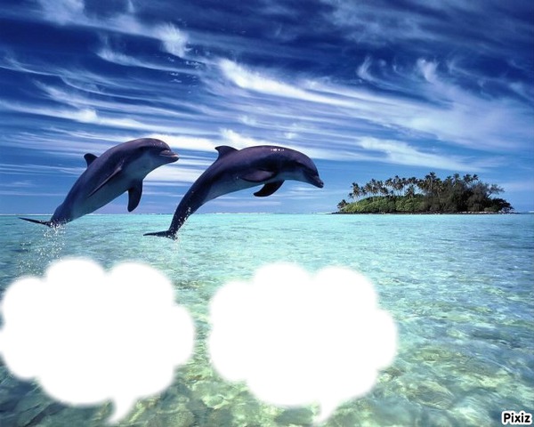 dauphins Fotomontáž