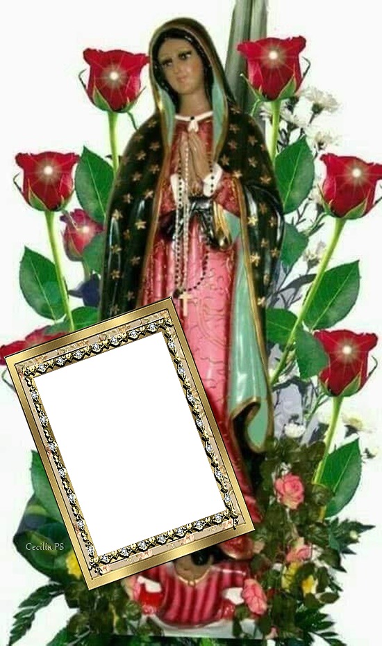Cc Virgen de Guadalupe. Fotomontažas