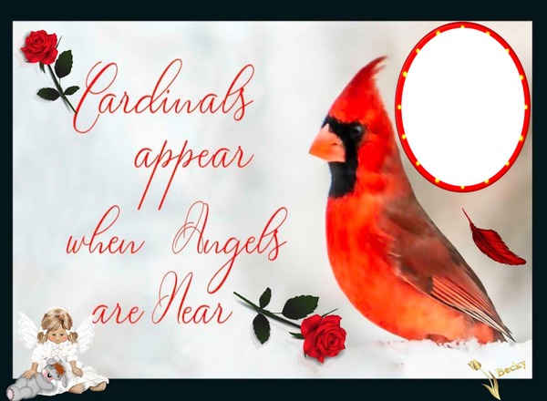 cardnals appear when angels are near Fotomontaggio
