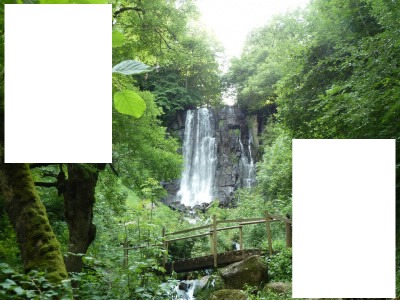 Forêt cascade Fotomontaggio