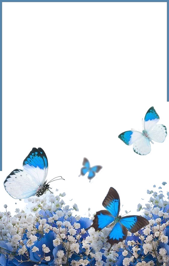 florecillas blancas y mariposas azules. Fotomontaža
