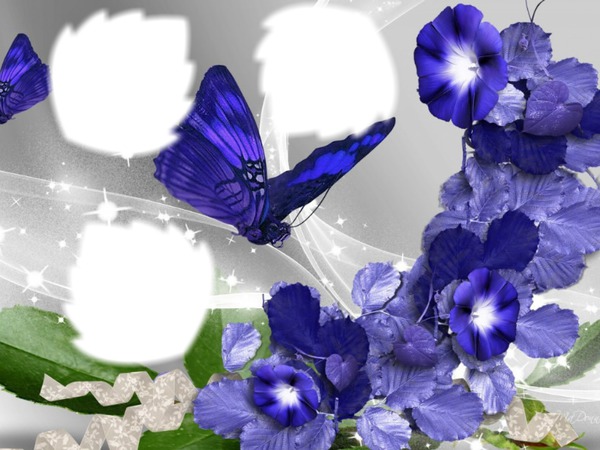 jolies fleurs et papillon フォトモンタージュ