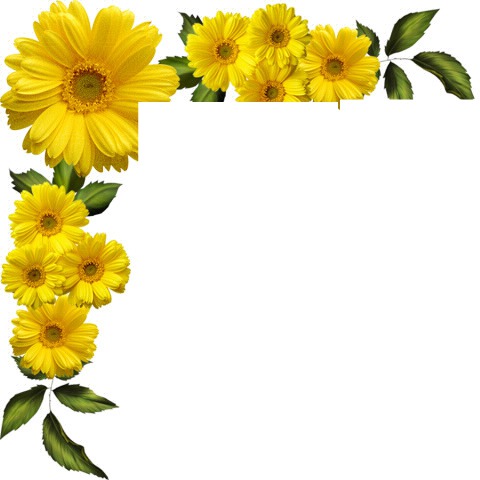 fleurs jaune Montage photo