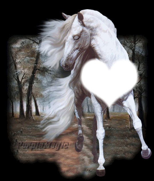 l'amour du cheval est plus grand que le notre Fotomontāža