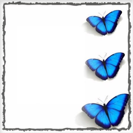 BLUE BUTTERFLY Photomontage