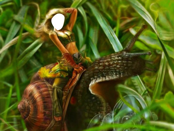 escargot Fotomontaža