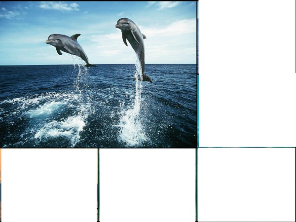 laly dauphins Fotomontaža
