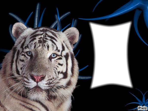 tigre1 Fotomontaggio