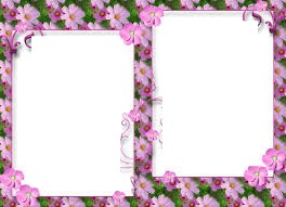 flores rosas Photomontage
