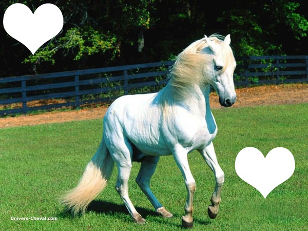 cheval blanc Фотомонтаж