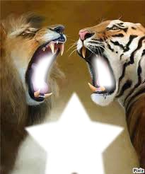lion et tigre Fotomontaggio