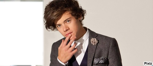 One Direction Harry Styles Fotomontasje