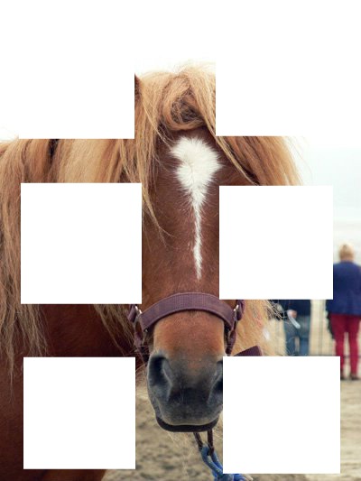 6 cheval Fotomontage