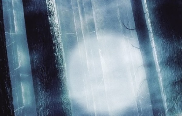 neblina / branco / Harry Potter Fotomontaggio