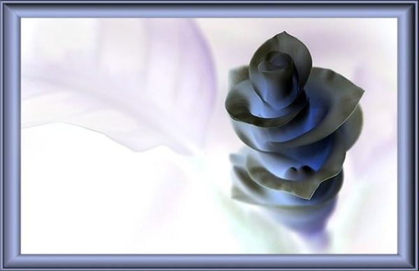 Blue rose Valokuvamontaasi