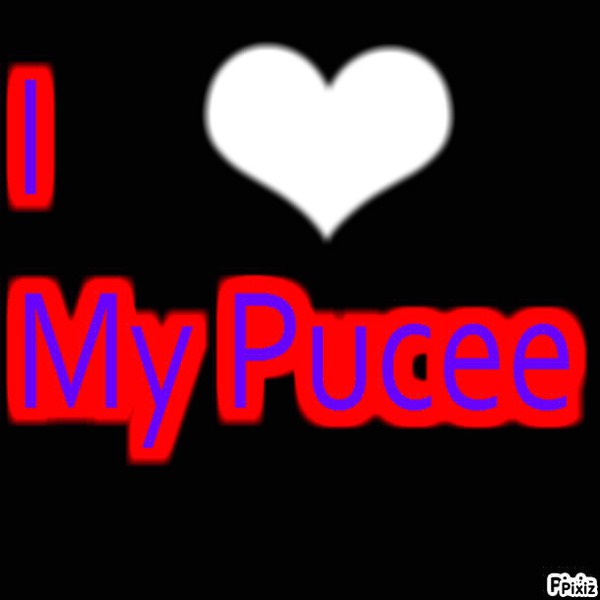 I LOVE MY PUCEE Fotomontage
