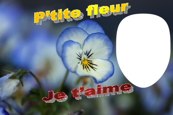 p'tite fleur Fotomontage