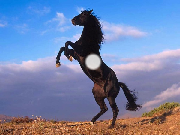 cheval Fotomontáž