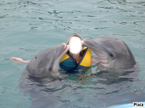 dauphins Фотомонтаж