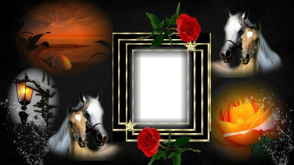 Cadre chevaux Fotomontasje