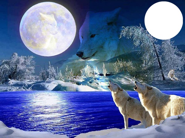 love wolves Fotomontažas