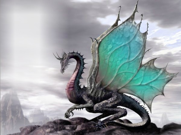 дракон Фотомонтаж