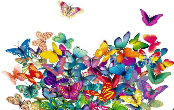 papillons multicolores 2 photos Фотомонтаж
