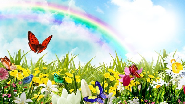 Arco iris florido Fotomontagem