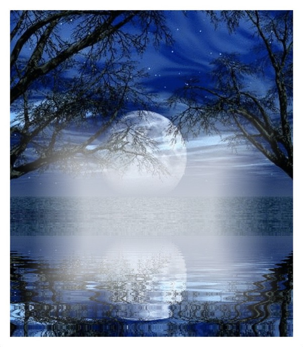 pleine lune sur la mer Фотомонтаж