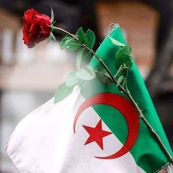 Drapeau Algérien Fotomontasje