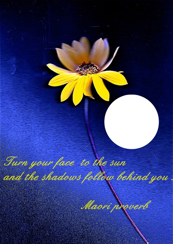 Maori proverb ;Turn your face to the sun Montage photo