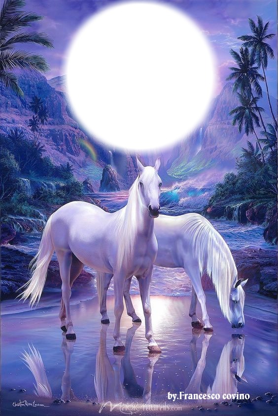 franco cavalli bianchi Fotomontaggio